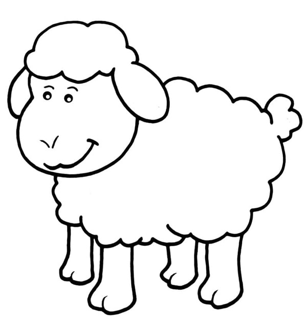 Image Lamb easy