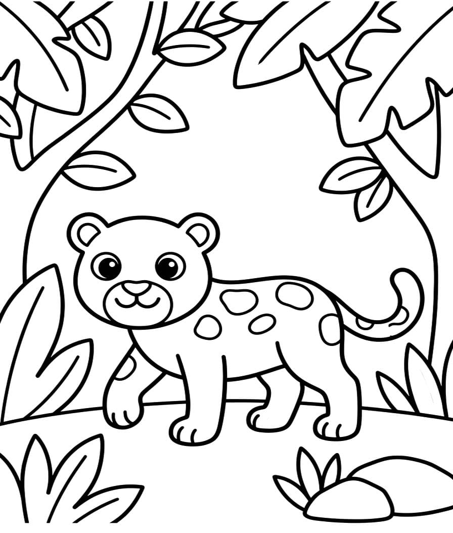 Image Leopard Free