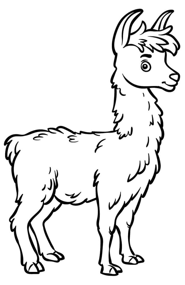 Image Llama Printable