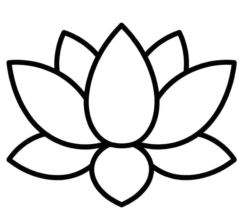 Image Lotus basic