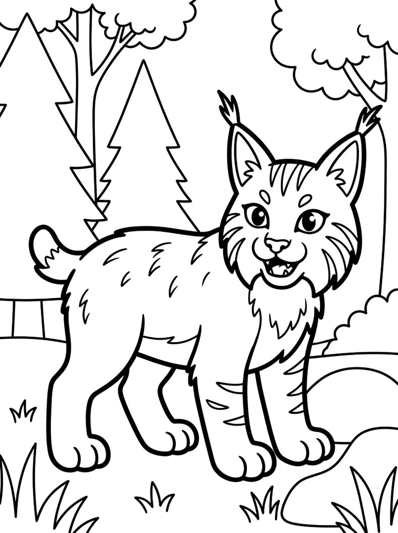 Image Lynx Printable