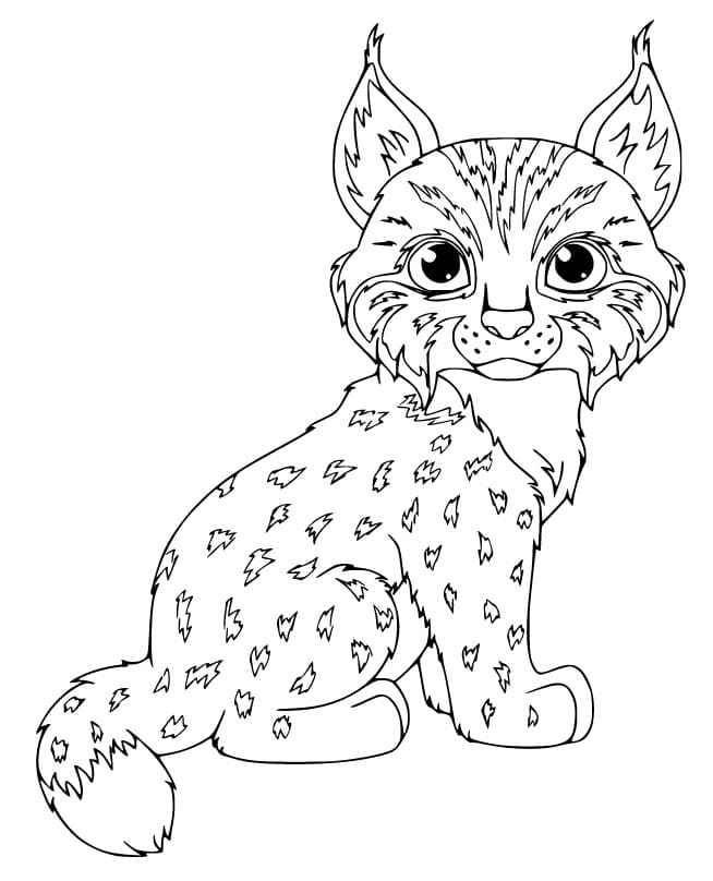 Image Lynx Simple