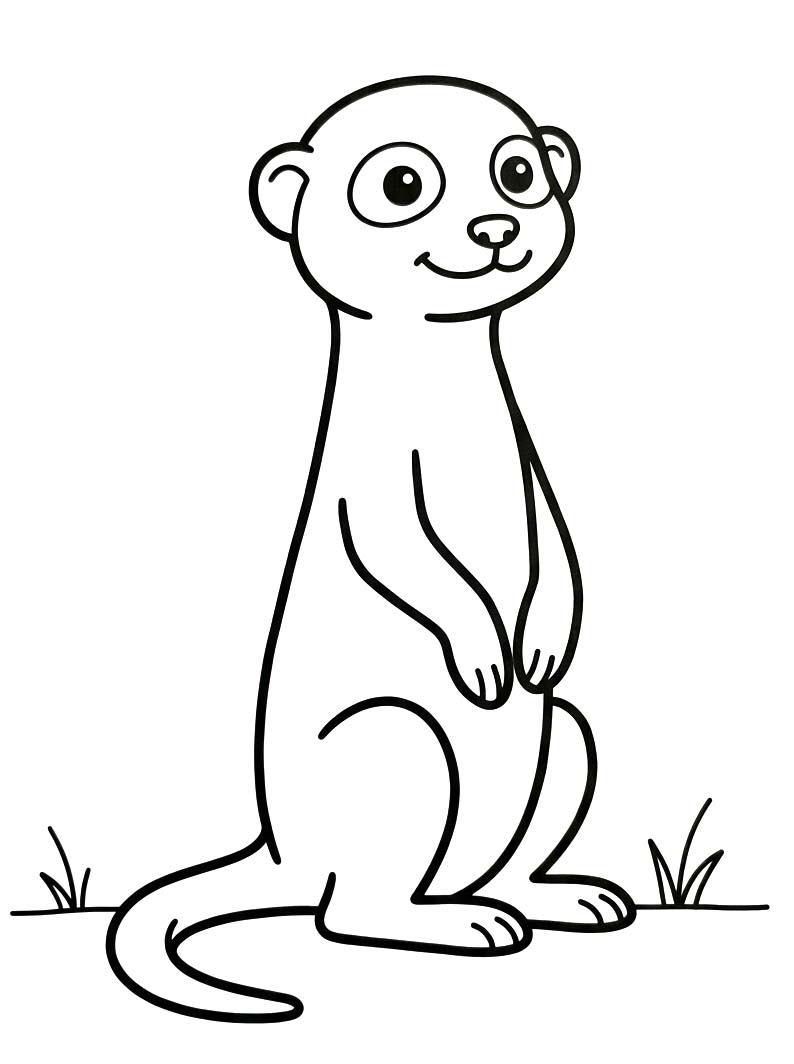 Image Meerkat Basic