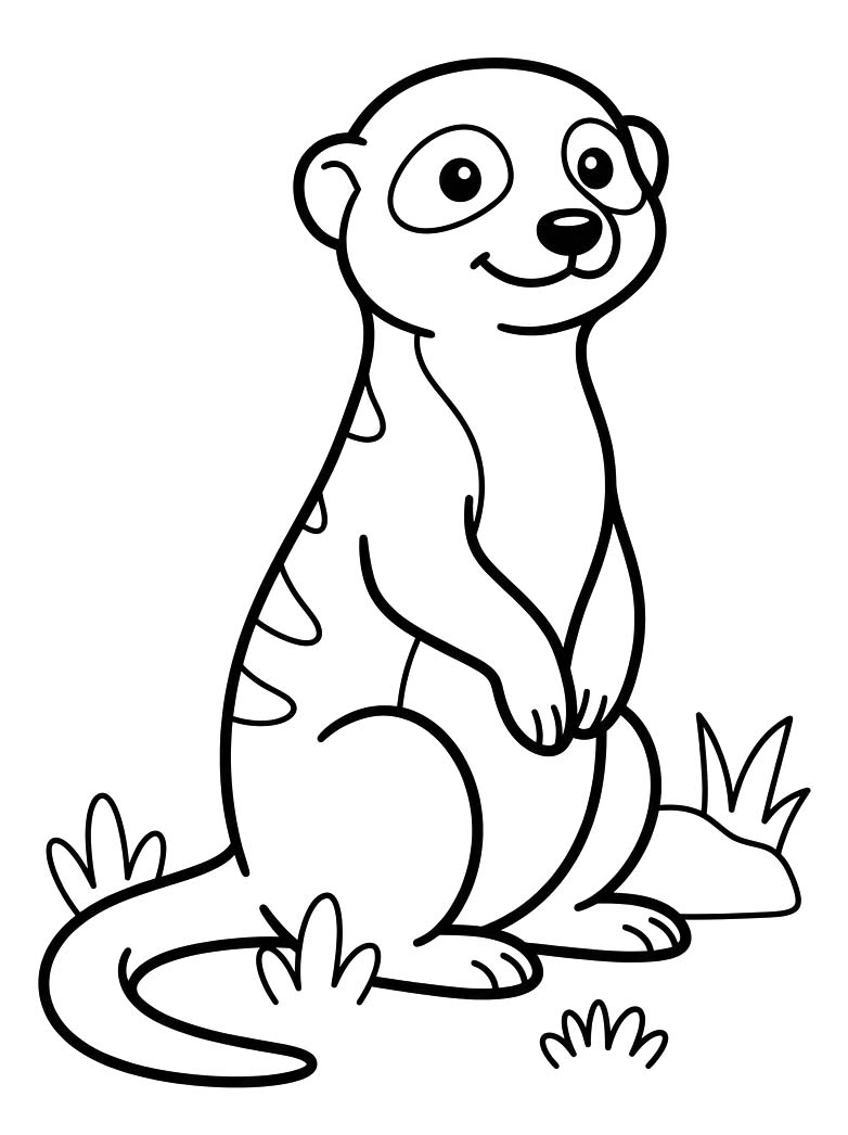 Image Meerkat Easy