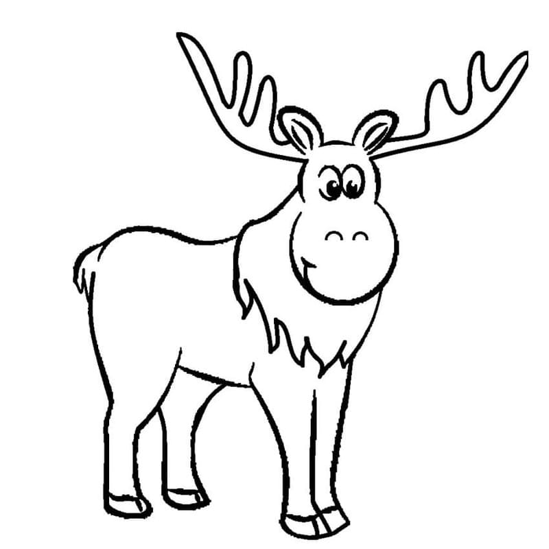 Image Moose