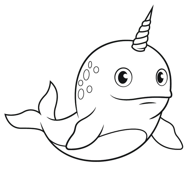 Image Narwhal