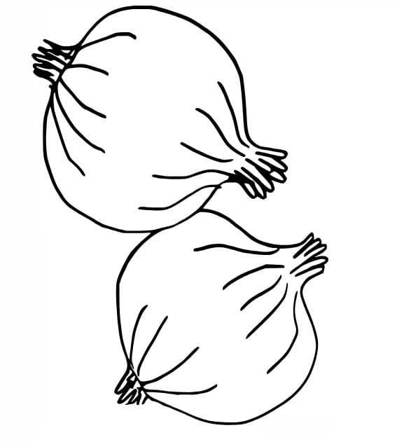 Image Onion