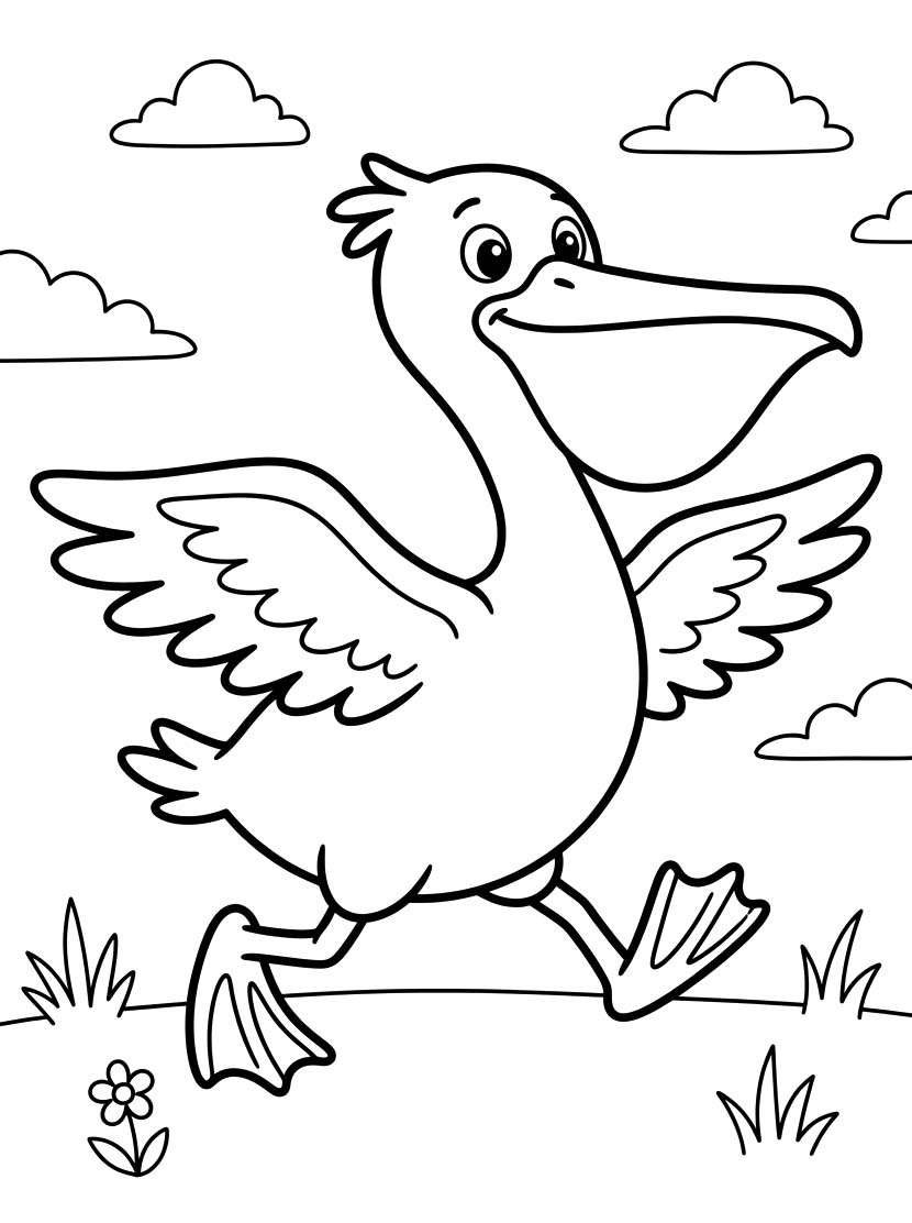 Image Pelican Basic