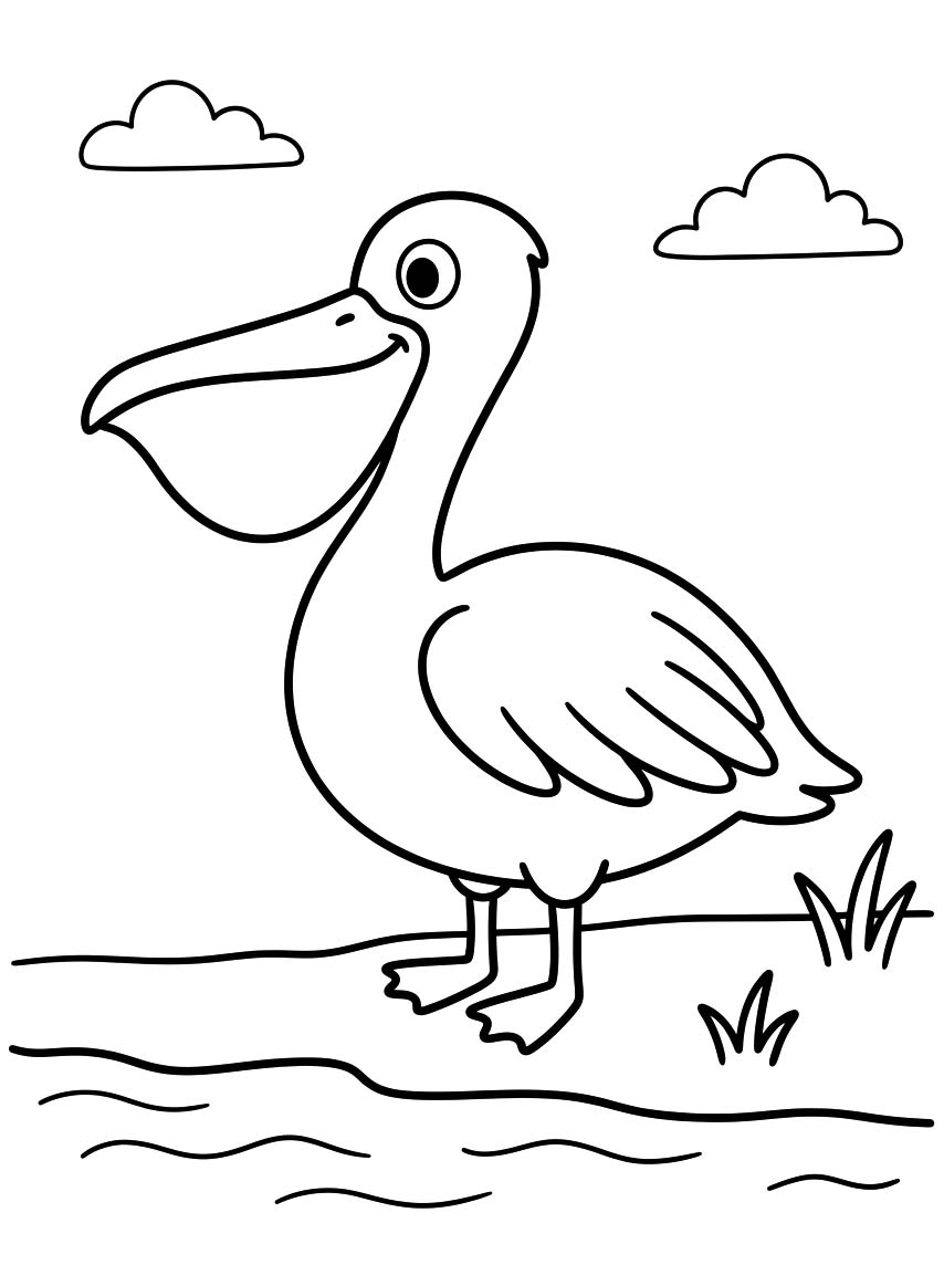 Image Pelican Free Printable