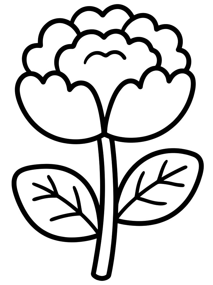 Image Peony Printable