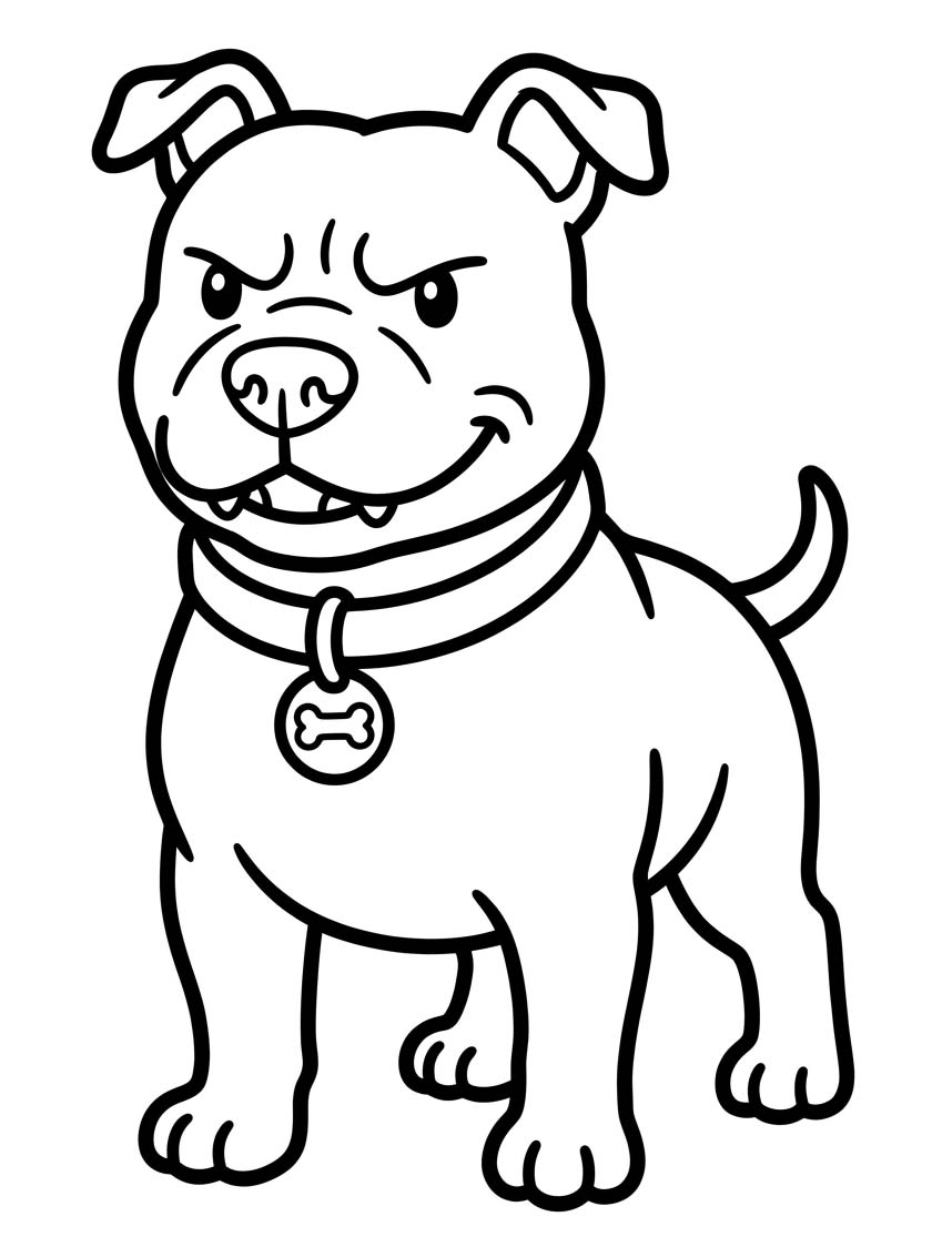 Image Pitbull Basic
