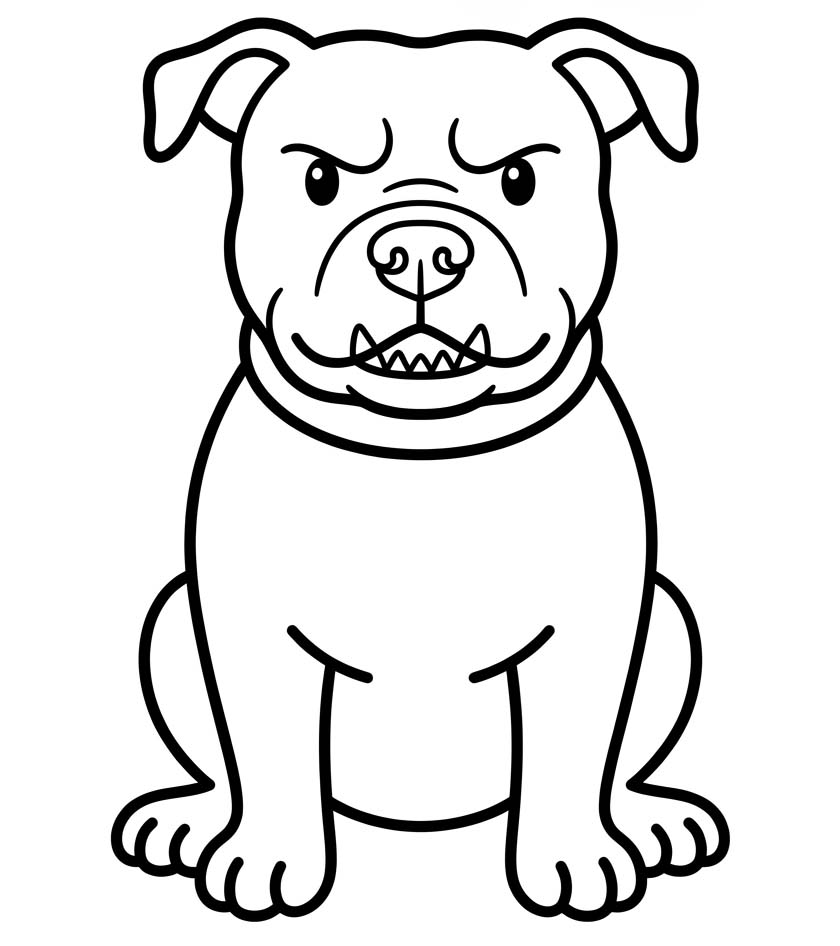 Image Pitbull Easy