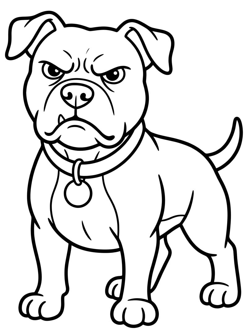 Image Pitbull Free Printable