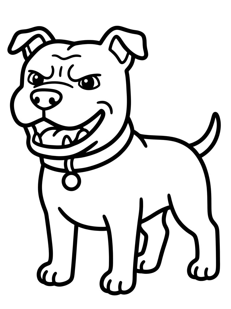 Image Pitbull