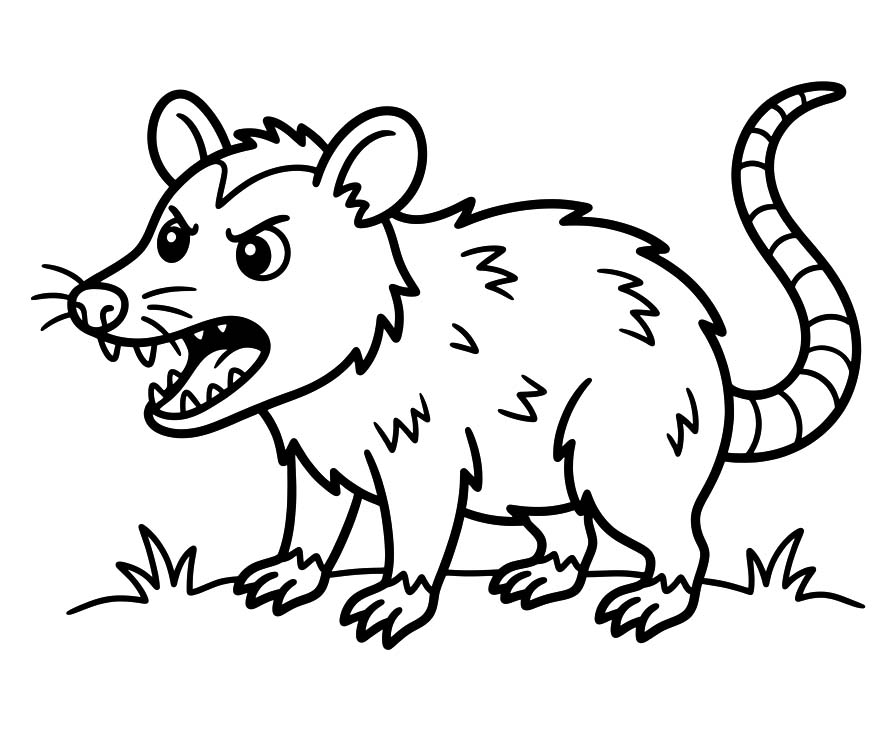 Image Possum