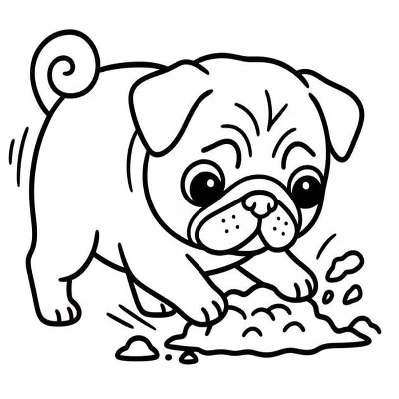 Image Pug Basic
