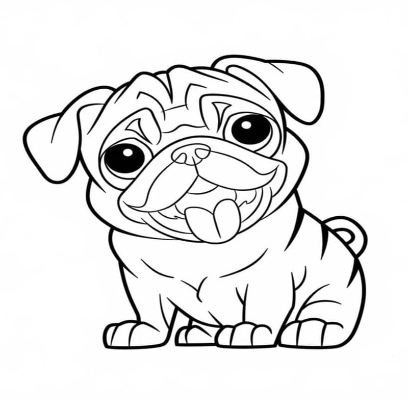 Image Pug Easy