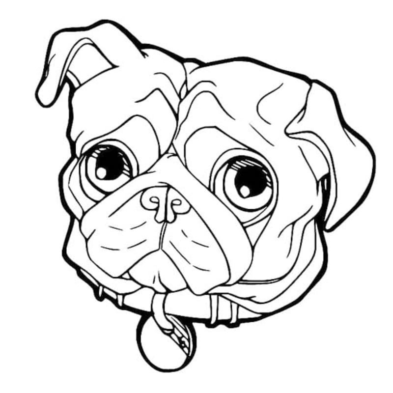 Image Pug Free