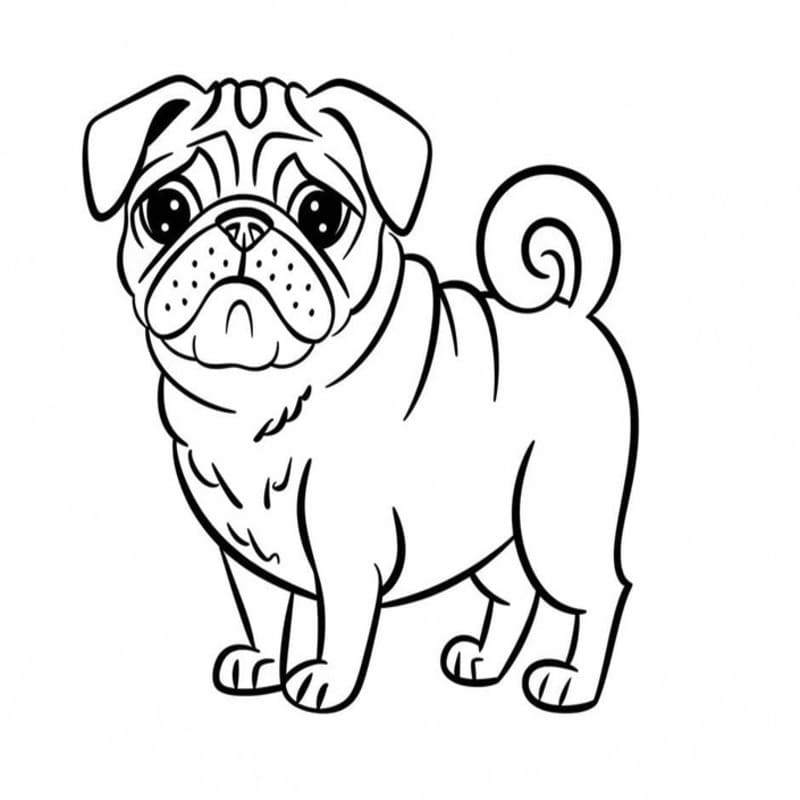 Image Pug Printable