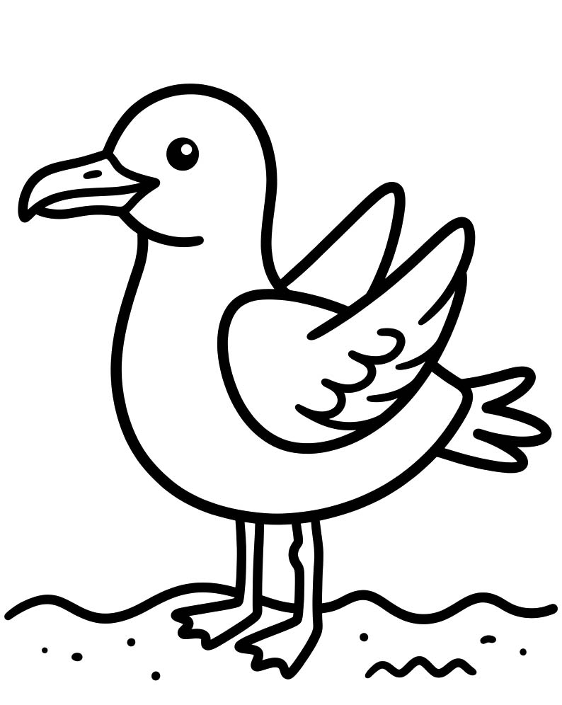 Image Seagull Basic