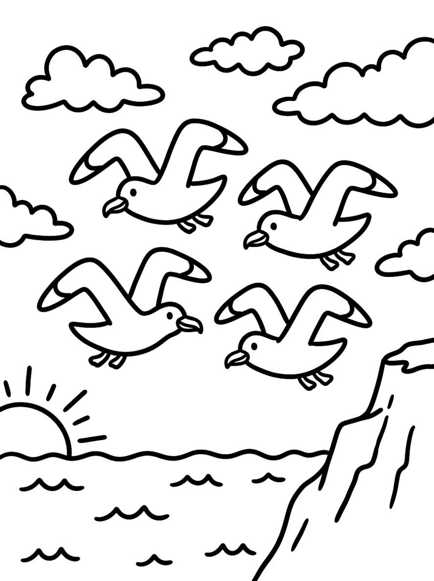 Image Seagull Easy