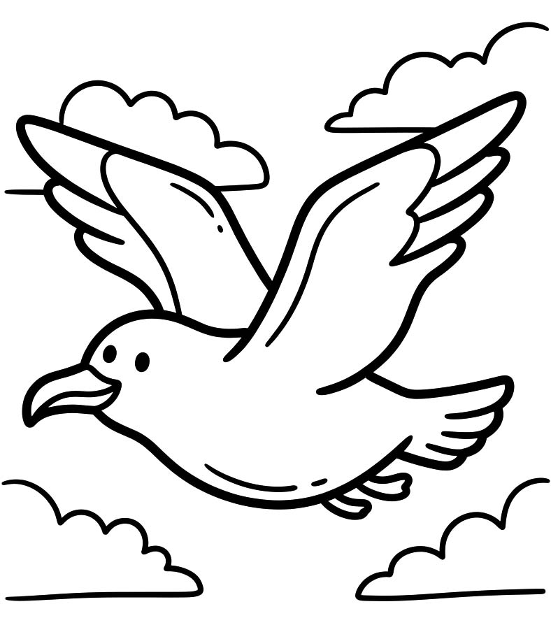Image Seagull Free