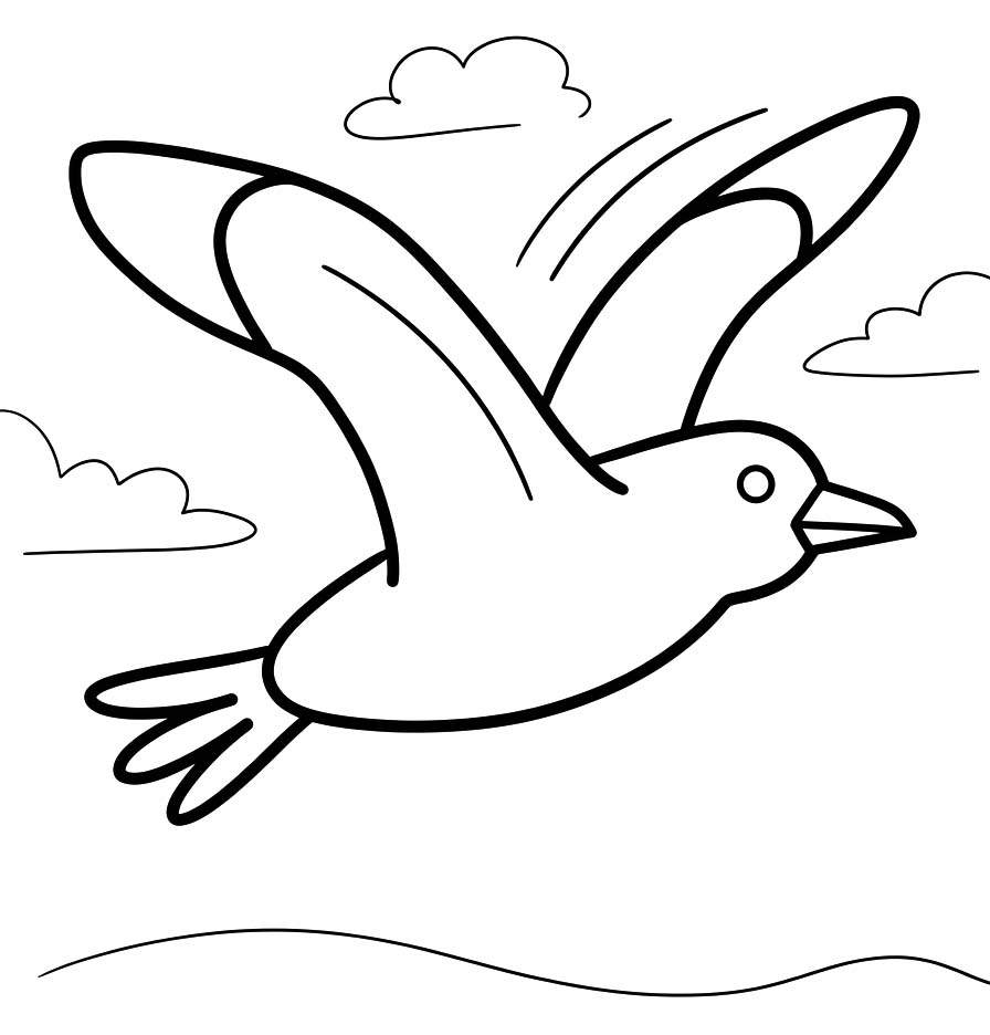 Image Seagull