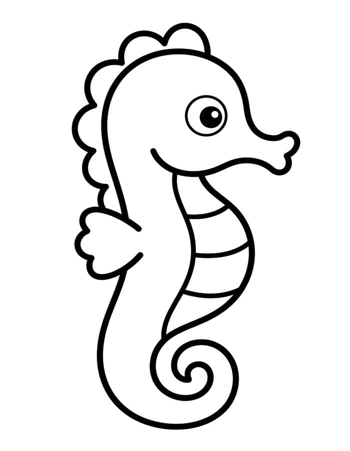 Image Seahorse