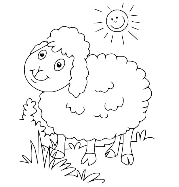 Image Sheep