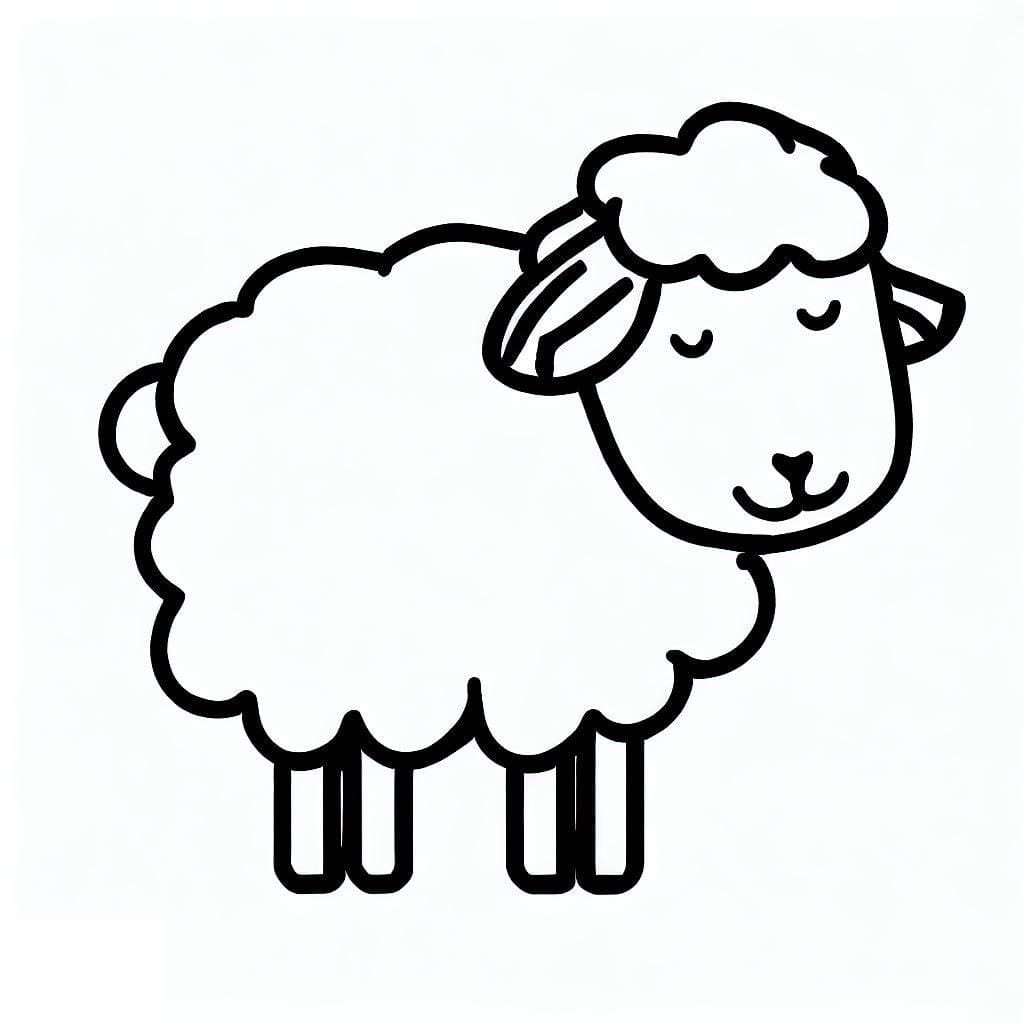 Image Sheep free