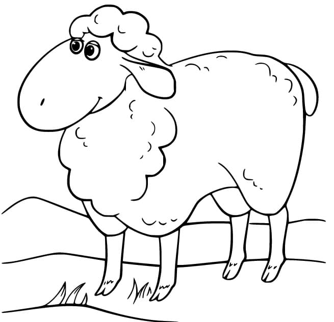 Image Sheep printable