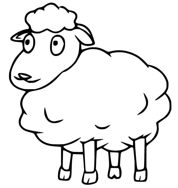 Image Sheep simple
