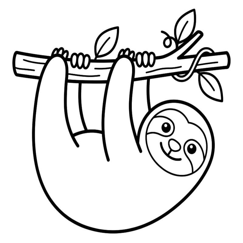 Image Sloth Basic