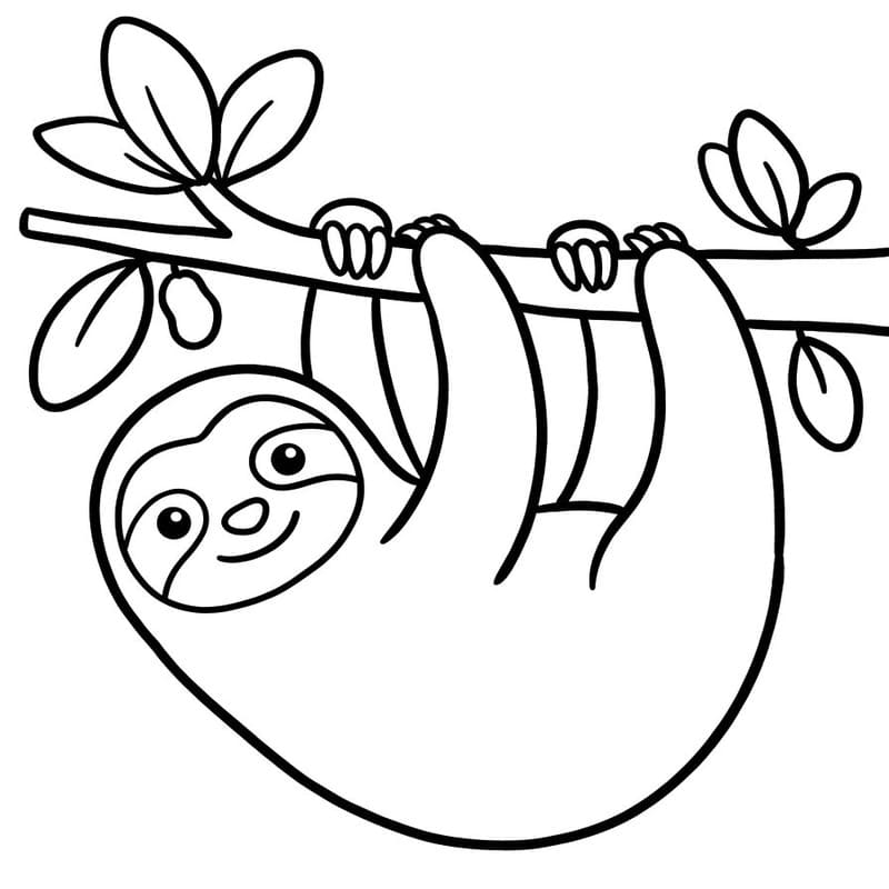 Image Sloth Free Printable