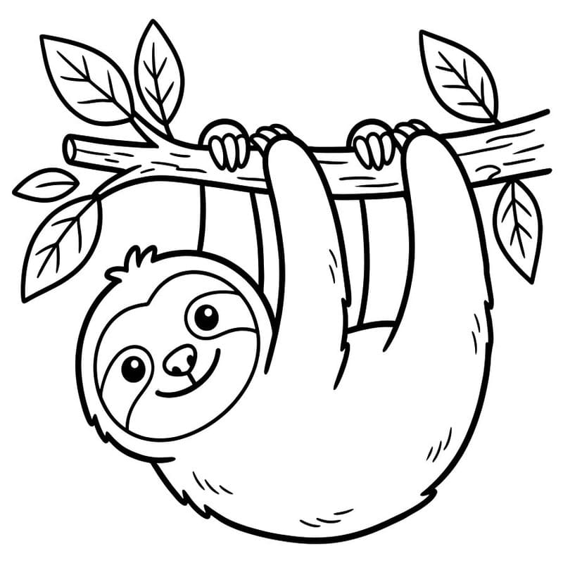 Image Sloth Simple