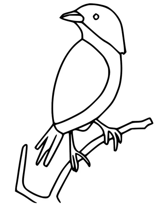 Image Sparrow Basic