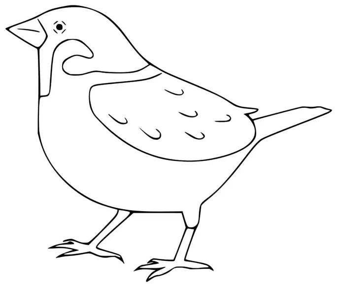 Image Sparrow Easy