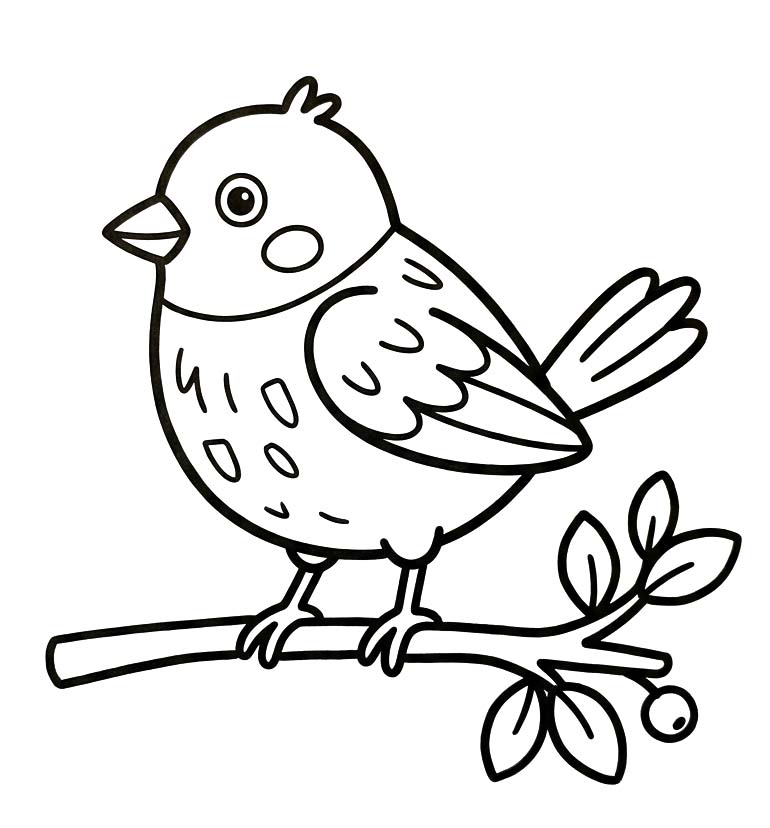 Image Sparrow Free