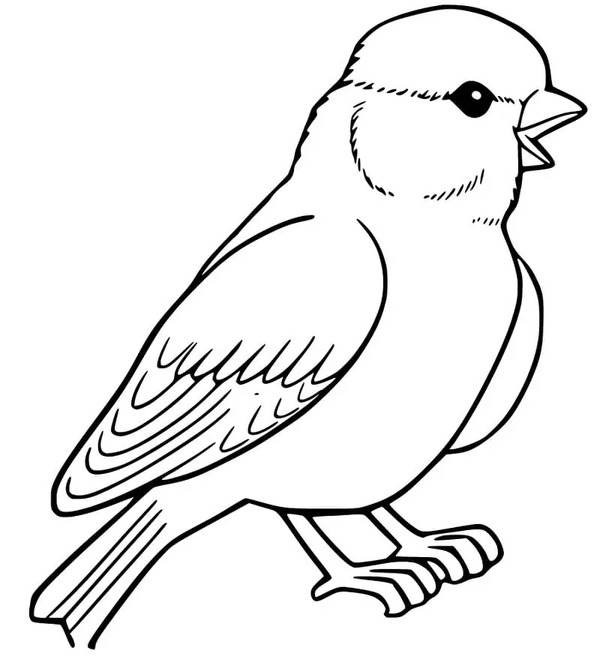 Image Sparrow Simple