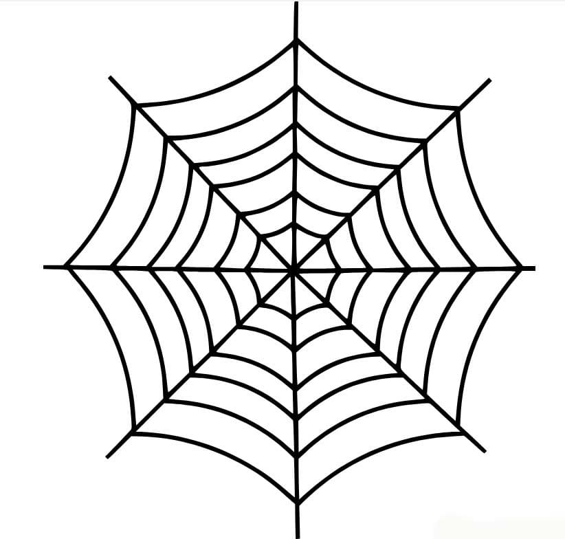 Image Spider Web Free