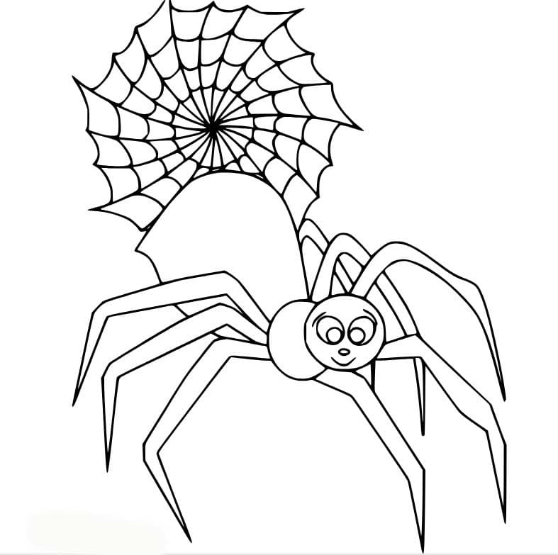 Image Spider Web Simple