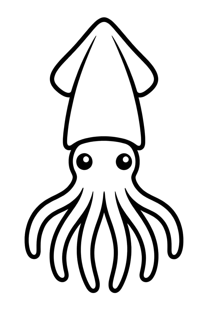 Image Squid