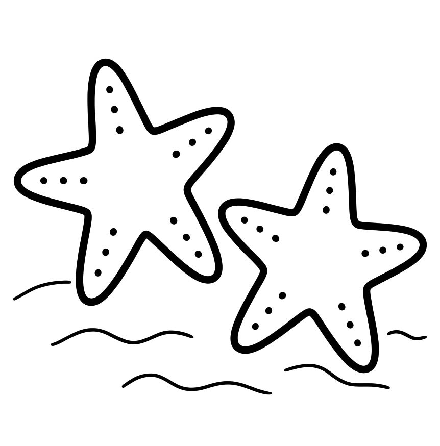 Image Starfish Basic