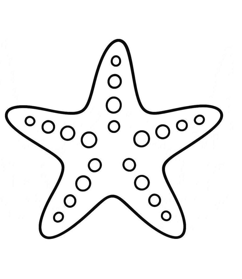Image Starfish Simple