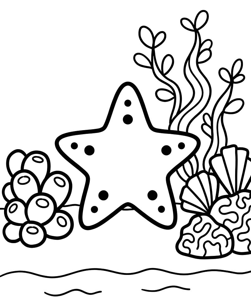 Image Starfish