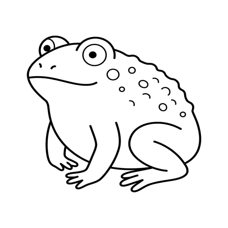 Image Toad Free