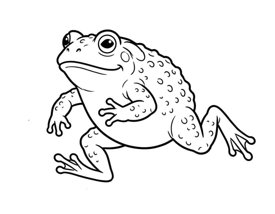 Image Toad Simple