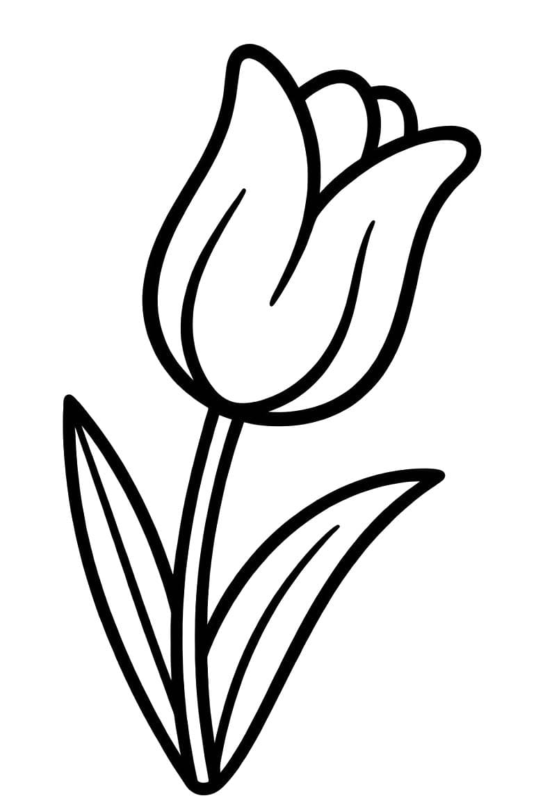 Image Tulip Printable