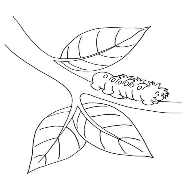 Image Worm Printable
