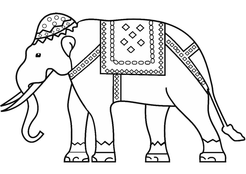 Indian Elephant